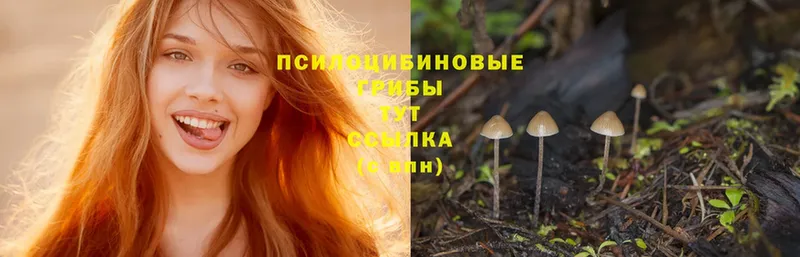 Галлюциногенные грибы MAGIC MUSHROOMS Алапаевск